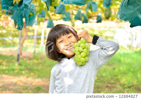 Girls enjoying grape hunting Girls enjoying grape hunting 12884827