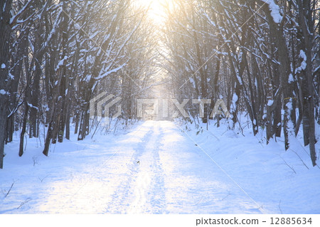 雪的人行道 雪的人行道 12885634