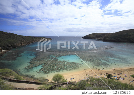 The sea of Hawaii The sea of Hawaii 12885635