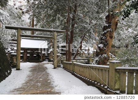 冬天的Kompira-san神社，Imonomiya（主神社）附近的“黑暗通行證” 12885720