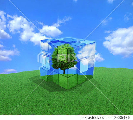 Rubik's Cube of a Grassy Tree 12886476