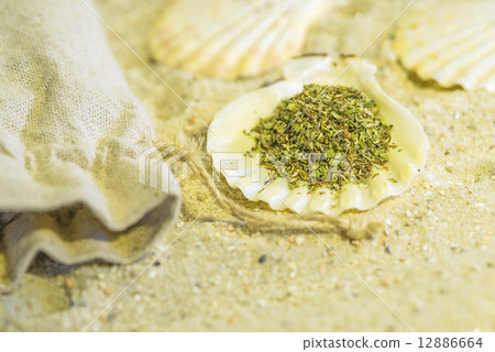 Herbs of Provence at a beach 12886664