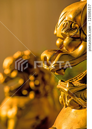 Feng shui lion Feng shui lion 12886837