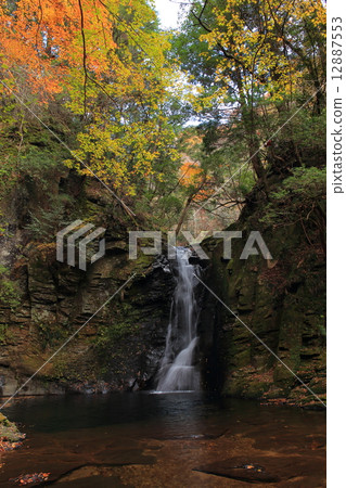 Biwa Falls of Akame Shitaku-Taki · Autumn Leaves Biwa Falls of Akame Shitaku-Taki · Autumn Leaves 12887553