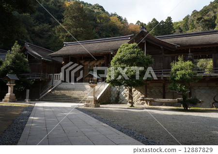 The precincts of Miho Shrine in late autumn Matsue City, Shimane Prefecture 12887829