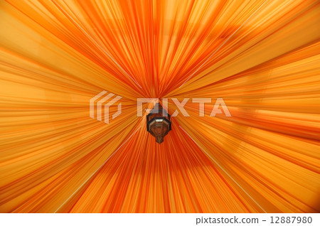Red orange 12887980
