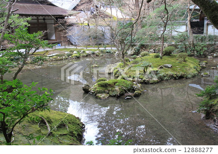 Nanzoman 12888277