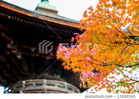 Jotokoji Temple 12888365