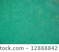 Goldfish eggs 12888842
