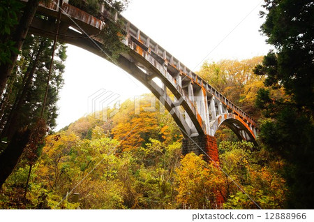 I look up at the glasses bridge I look up at the glasses bridge 12888966
