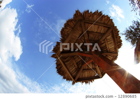 南島的藍天 12890685