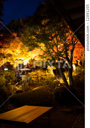 Autumn leaves of Suma Rikyu park 12891205
