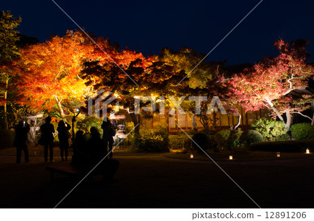 Autumn leaves of Suma Rikyu park Autumn leaves of Suma Rikyu park 12891206
