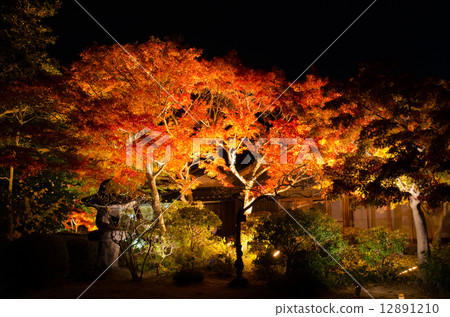 Autumn leaves of Suma Rikyu park 12891210