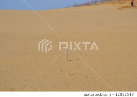 沙漠 沙漠 12891517