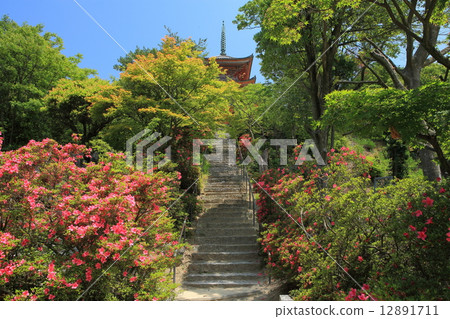 帝國島改善寺 帝國島改善寺 12891711