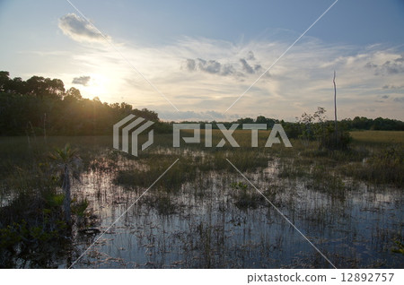 大沼澤地國家公園 大沼澤地國家公園 12892757