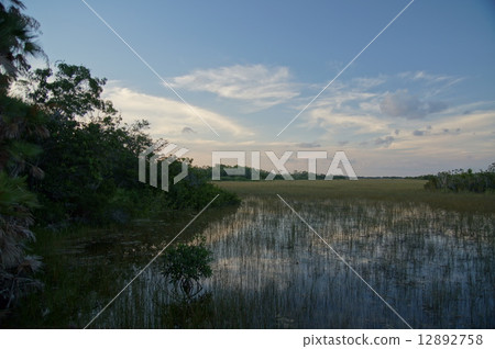 大沼澤地國家公園 12892758