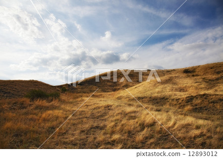 landscape landscape 12893012