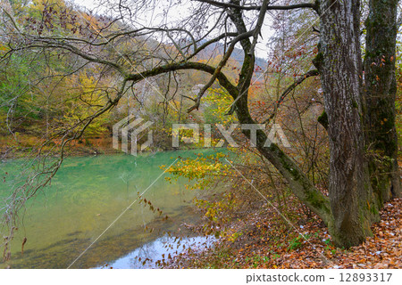 The river in the mountains 12893317