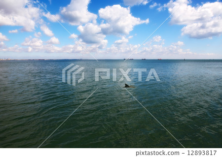 seascape seascape 12893817