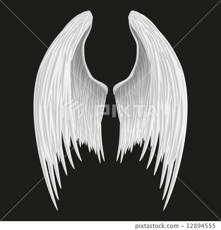 White folded angel wings. White folded angel wings. 12894555