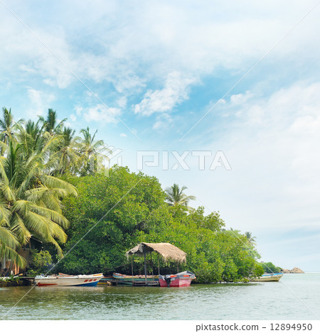 Equatorial forest and boats on the lake Equatorial forest and boats on the lake 12894950