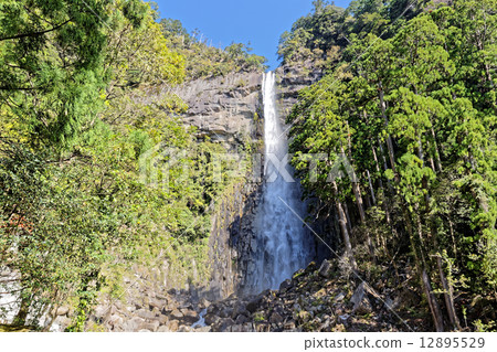 Nachi's waterfall Nachi's waterfall 12895529