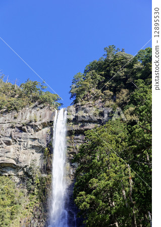 Nachi's waterfall Nachi's waterfall 12895530