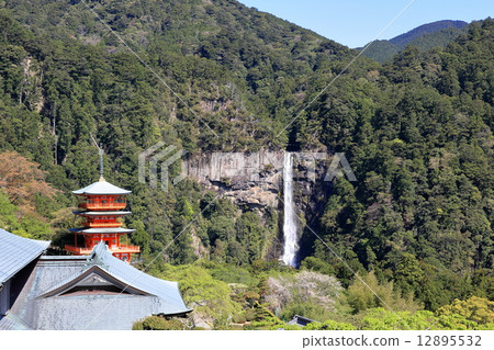 Nachi's waterfall Nachi's waterfall 12895532