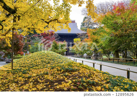 秋葉Konjyoji門 12895626