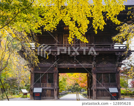 The gates of autumnal leaves 12895628