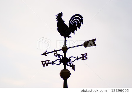 Weathercock 12896005