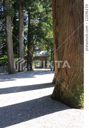 四國神社平台12號佛教寺院“Yakusanji”，從入口處看到山門 12896239