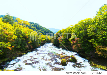 Flow of Yukawa Flow of Yukawa 12896649