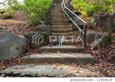 Hakoneyama Hakoneyama 12908629