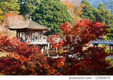 秋天的立場 12909074