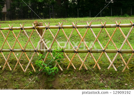 竹籬笆 12909192