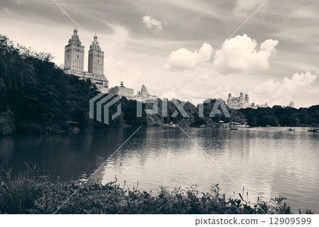 Central Park Spring 12909599