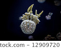 White spotted sea jelly White spotted sea jelly 12909720
