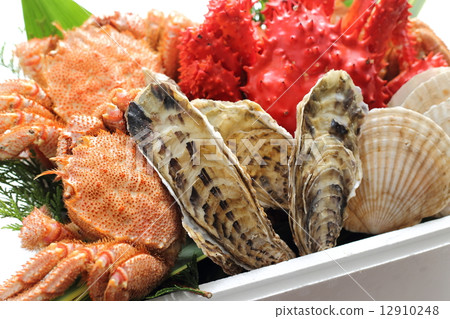 海鮮  12910248