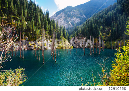 Kaindy Lake in Tien Shan mountain, Kazakhstan. 12910368