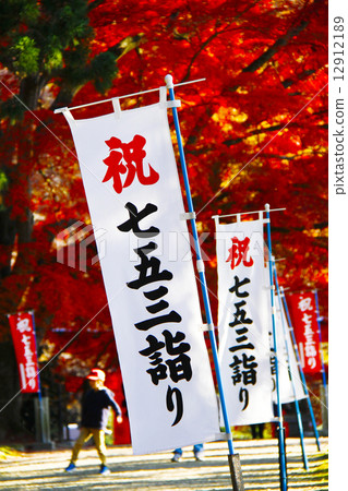 Kamo神社秋葉 12912189