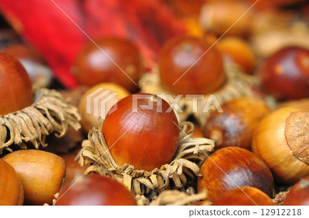 Abedaki銀杏 12912218