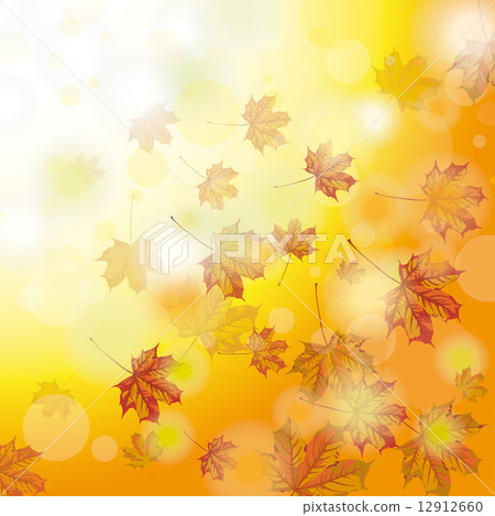 Autumn Foliage Fall Autumn Foliage Fall 12912660