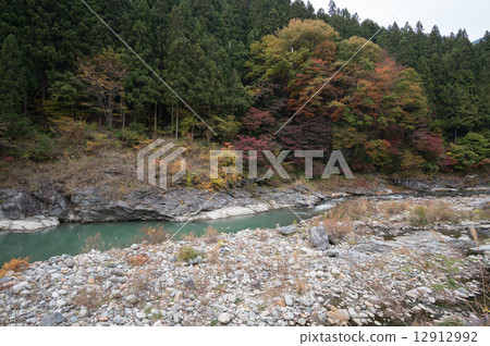 Chichibu's autumn leaves and Arakawa Chichibu's autumn leaves and Arakawa 12912992