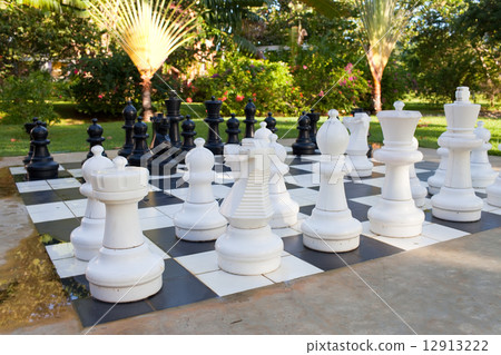 Figures for game in chess on the nature Figures for game in chess on the nature 12913222