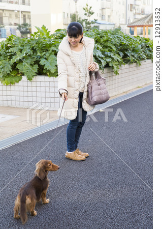 A woman walking with a dog A woman walking with a dog 12913852