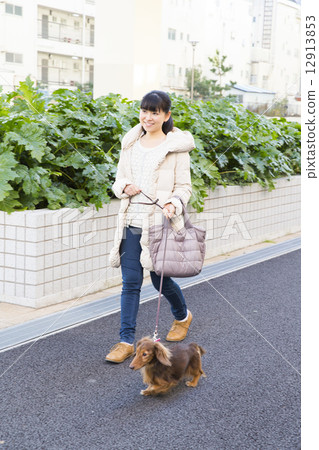 A woman walking with a dog A woman walking with a dog 12913853