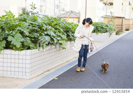 走與狗的婦女 走與狗的婦女 12913854